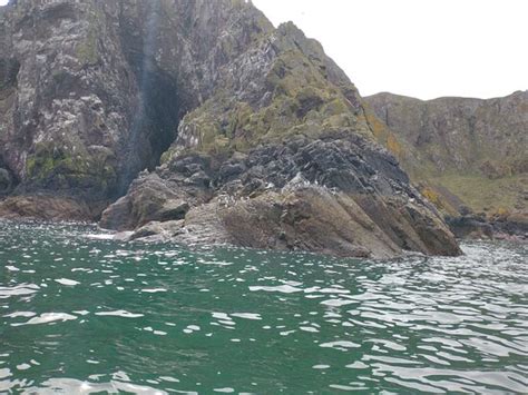 Rib Rides St Abbs - 2022 What to Know Before You Go (with Photos ...