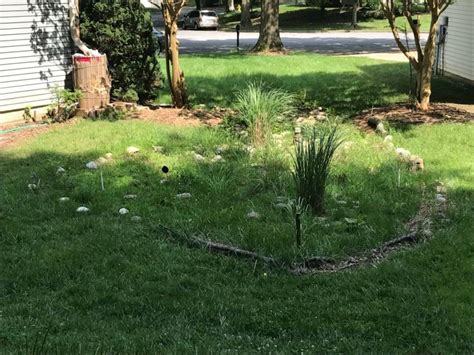 Native Plant Landscape Design 的图像结果