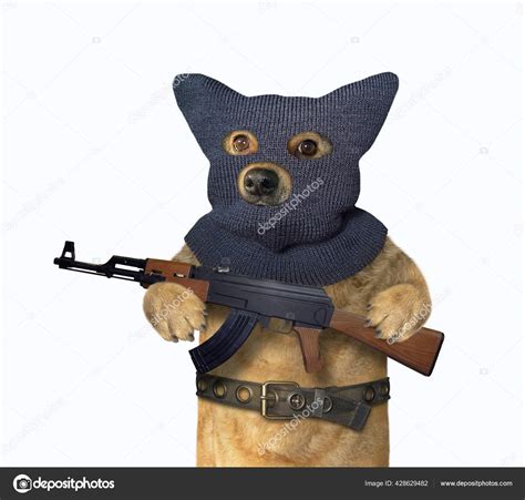 Dog With Machine Gun