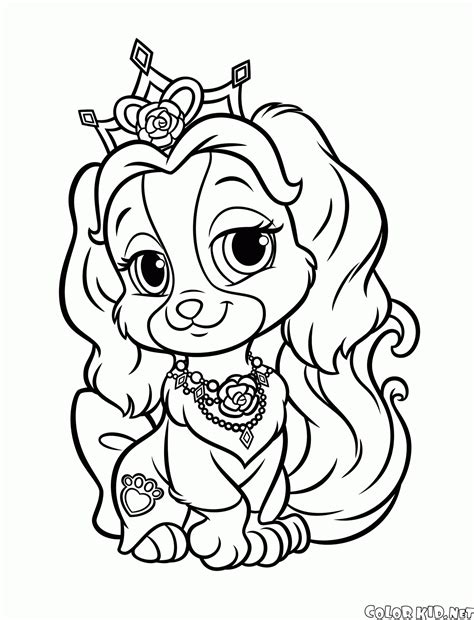 Coloring page - Puppy Little