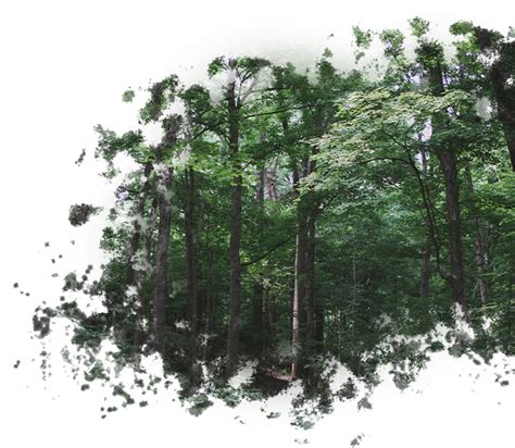 Environment | Astitva