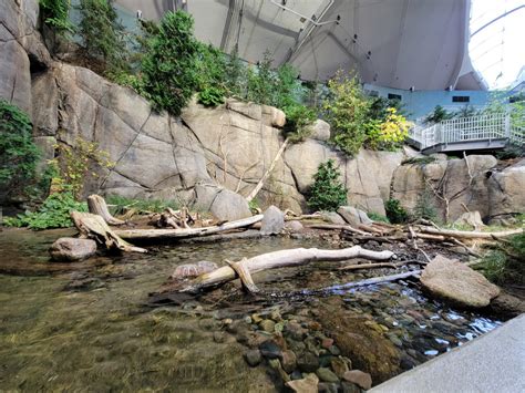 Biodôme Montréal - Gulf of St. Lawrence - ZooChat