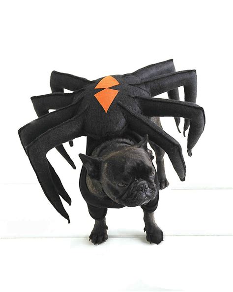 Dog Spider Costume