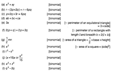 Image result for Class 7 Maths Chapter Algebraic Expression Explanation