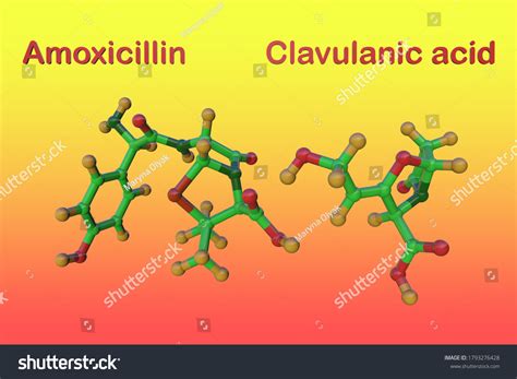 Augmentin Structure