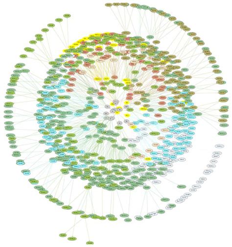 Topic Level Visualization of Student Enrollment Records in a Computer ...