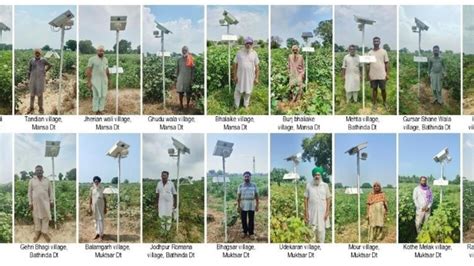 cotton pink bollworms - ICAR-CICR ने बनाया AI से चलने वाला फेरोमोन ...