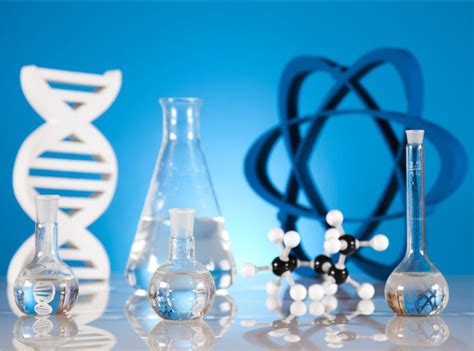 Image result for Understanding Rabbit Behavior