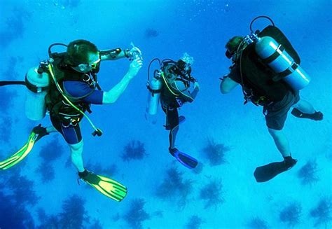 AQABA BEACH ACADEMY FOR DIVING (2026) All You Need to Know BEFORE You ...