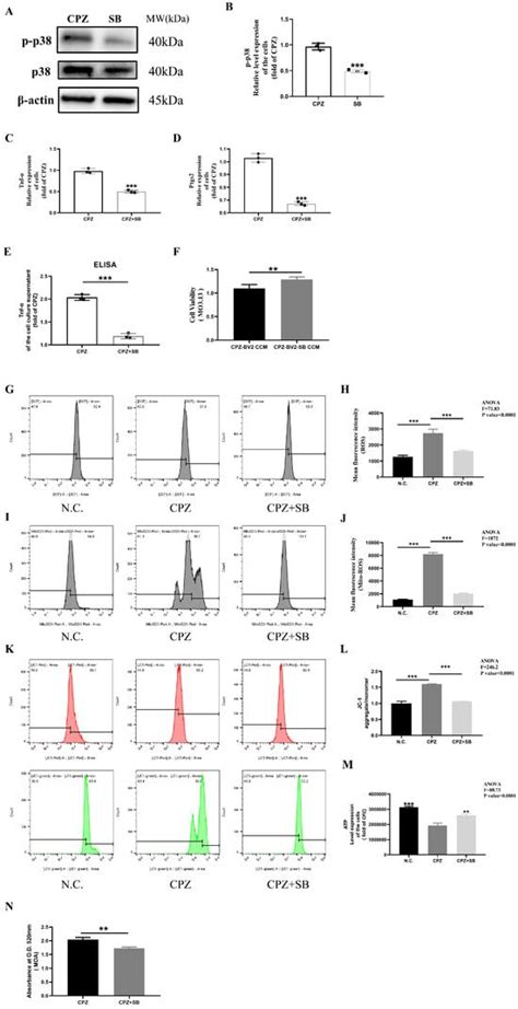 Antioxidants | An Open Access Journal from MDPI