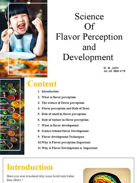 Taste Perception Experiment 的图像结果