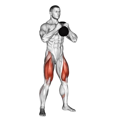 Zercher Squat: Benefits, Muscles Worked, and More - Inspire US