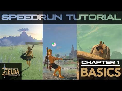 Image result for BOTW Speed Run Tutorial