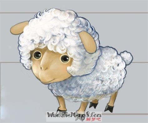女人梦见羊是什么预兆 女人梦见羊的注意事项 - 美欧网