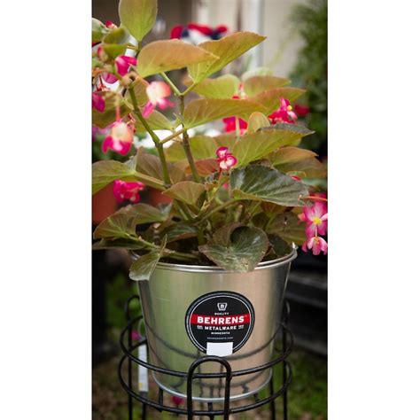 Behrens 5-quart BPA-Free Metal General bucket in the Buckets department ...
