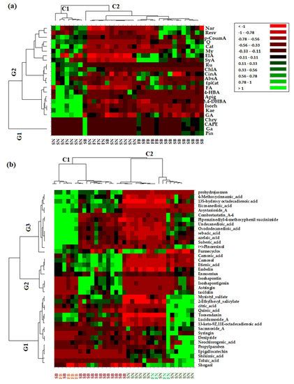 Antioxidant and Wound Healing Bioactive Potential of Extracts Obtained ...