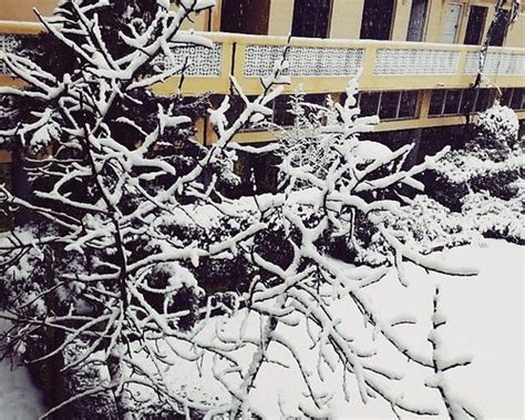 AZAD MUSLIM HOTEL (Quetta) - Lodge Reviews & Photos - Tripadvisor