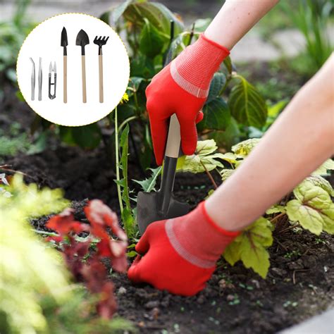 Buy 8Pcs Bonsai Set Kit Garden Tool Bud and Leaf Trimmer Set Mini ...