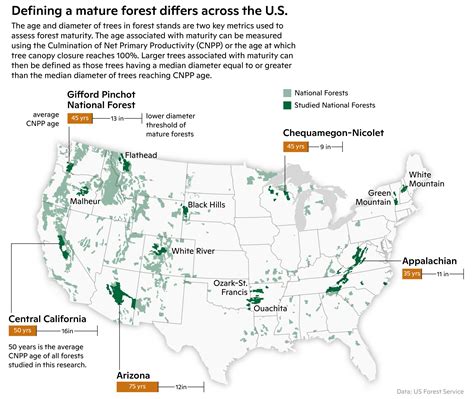 Scientific basis for protection of mature and old-growth forests ...