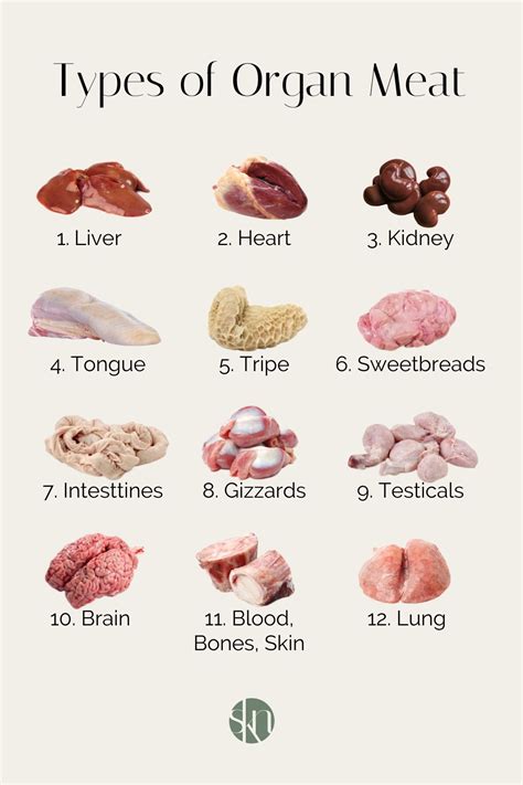 8 Benefits of Organ Meat - Stephanie Kay Nutrition