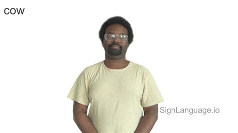 Cow in ASL - American Sign Language - 7 Video Examples