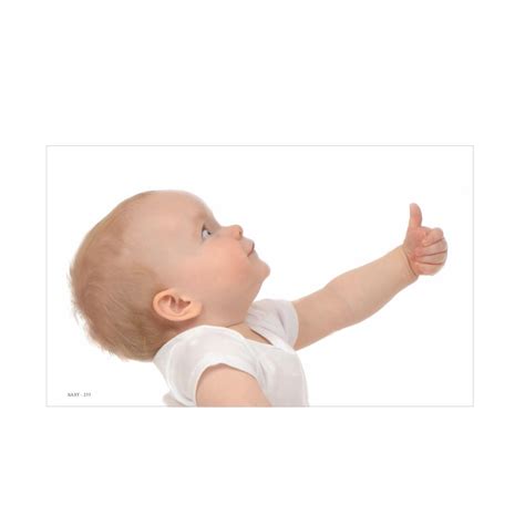 Eoi Marketing Baby Poster - Colorful Laminated Prints for Nursery Decor ...