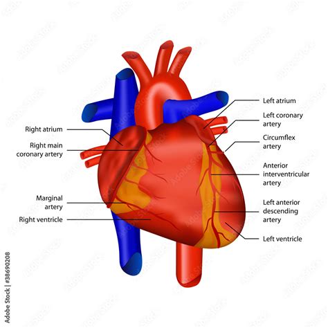 Image result for Random or Regular Pattern Worksheet