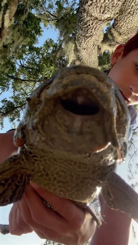 Image result for Plecko Add Note