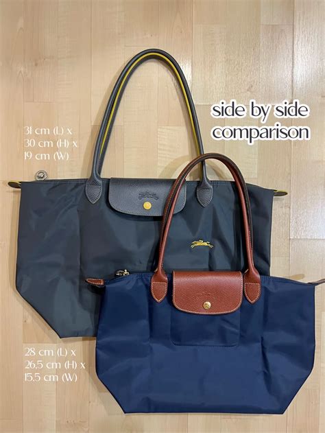 Comparing my Small & Large Le Pliage 🧐 | Gallery posted by nat | Lemon8