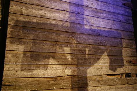 Image result for Shadow Tutorial