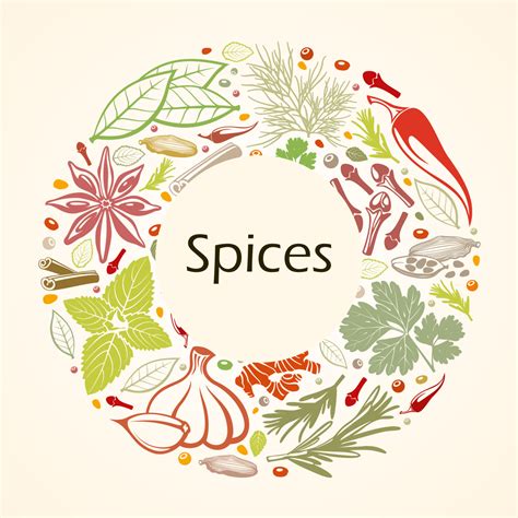 Indian Spices – Food Care INDIA