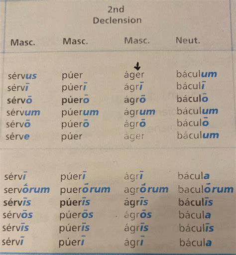 2nd Declension Endings : r/latin