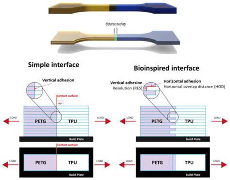 Biomimetics | Special Issue : Advances in Biomimetics: Combination of ...