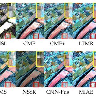 Image result for Image Visualization