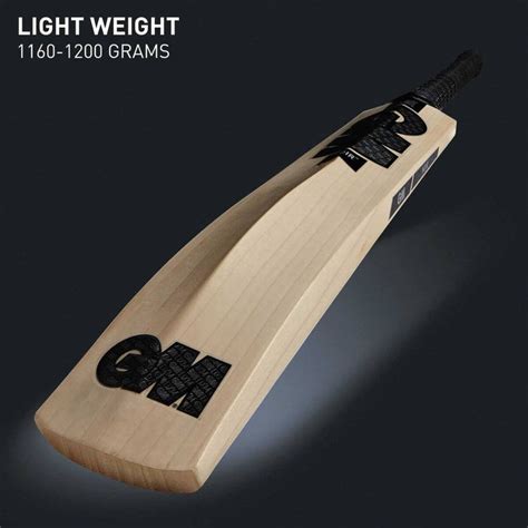 GM Noir Excalibur English Willow Cricket Bat – Sportswing.in