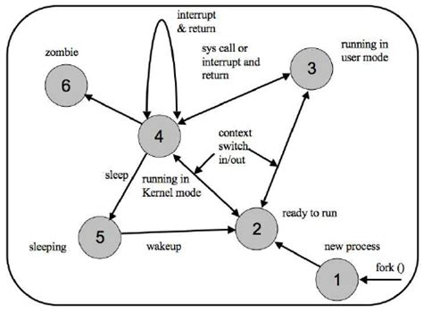 Process Cycle 的图像结果