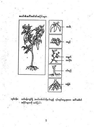 Class 3 Science Pinaccal 的图像结果