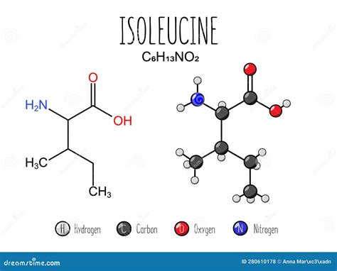 Isoleucine Amino Acid Representation. Stock Vector - Illustration of atomic, physiology: 280610178