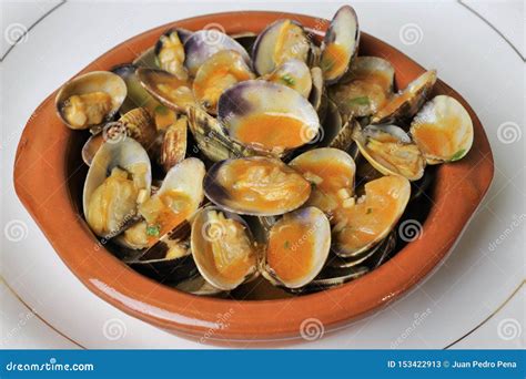 Clams in Seafood Sauce Typical Andalusian and Spanish Cuisine Stock ...