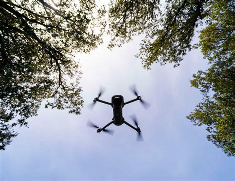 Waldsterben: Wie Drohnen den Wald retten können | agrarheute.com
