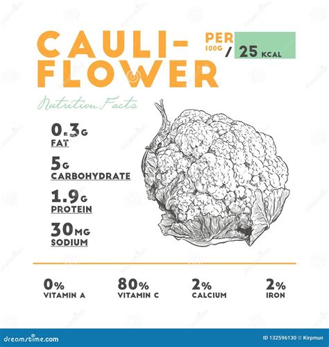 Cauliflower Health Benefits. Vector Illustration Stock Vector ...