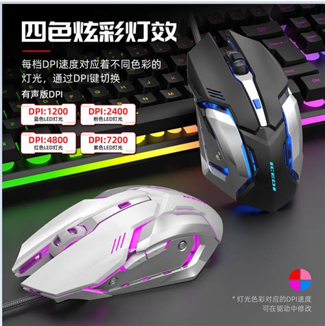 delhi 101z availability