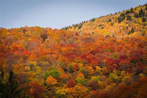fall leaf peeping in vermont - Jamie Bannon Photography | Hartford ...