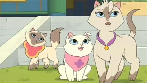 cat cartoon show 2000s