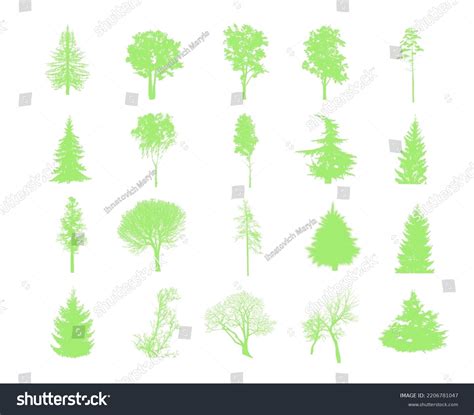 Tree Vector 的图像结果