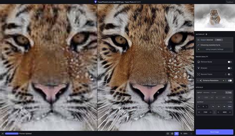 Topaz AI Tutorial 的图像结果