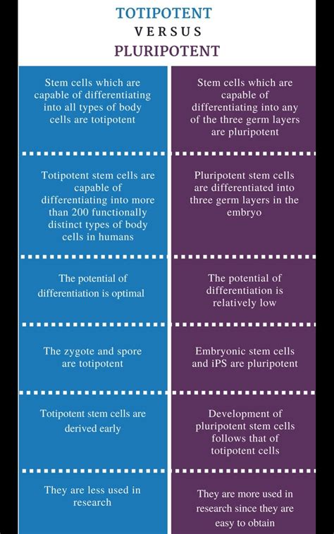 Difference Between Pluripotent Multipotent And Unipotent Stem Cells ...