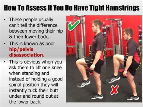 Hamstring Setting 的图像结果