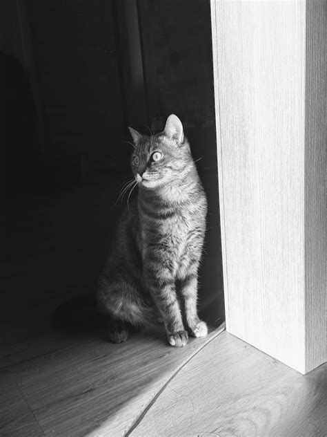 Image result for Data Structures and Algorithms Stack