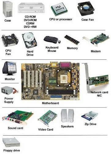 Image result for Video Data Peripherals of a Computer